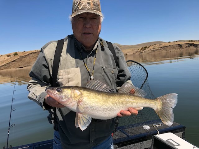 Walleye Wing Rigs | Quick Change Systems, Inc.